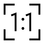 Actual Size SVG Icon